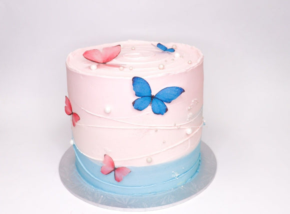 Ombre Butterfly Cake